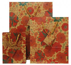 cung-cap-cac-loai-tui-giay-gia-re-tai-thanh-pho-ho-chi-minh (1)