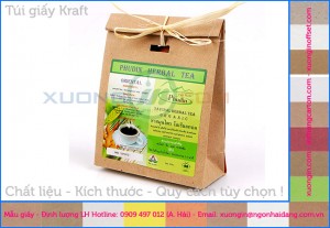 Hình túi giấy kraft carton chất lượng