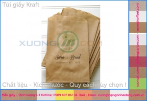 Hình túi giấy kraft carton chất lượng