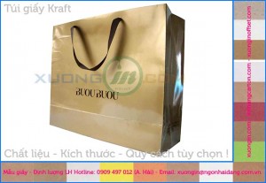 Hình túi giấy kraft carton chất lượng