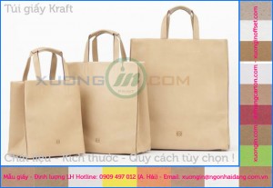 in túi giấy kraft giá rẻ