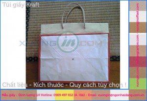 in túi giấy kraft giá rẻ