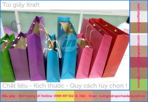 Túi giấy kraft