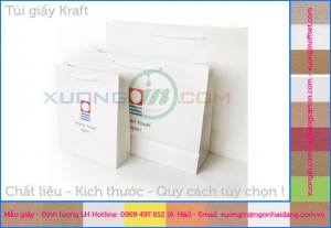 Túi giấy kraft