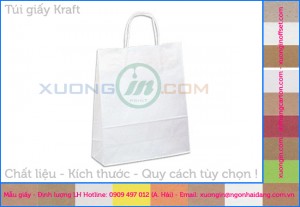 Túi giấy kraft