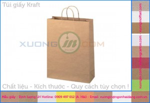 Túi giấy kraft