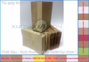 Túi giấy kraft