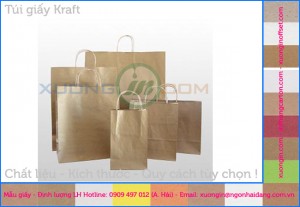 Túi giấy kraft