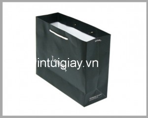 In túi giấy cho các công ty