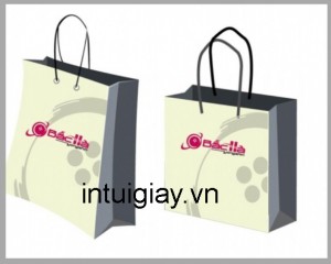 In túi giấy cho các công ty