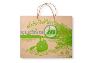 Túi giấy thời trang