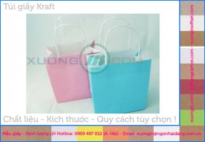 Cung cấp túi giấy bảo vệ môi trường