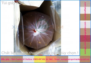 Cung cấp túi giấy bảo vệ môi trường