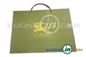 hình ảnh mẫu thiết kế túi giấy cao cấp