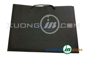 hình ảnh mẫu thiết kế túi giấy cao cấp
