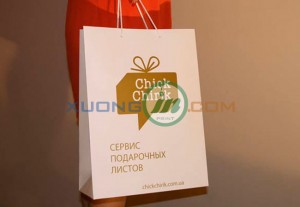 Mẫu túi giấy 2014