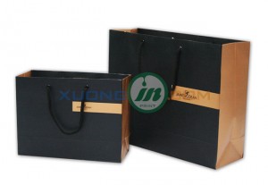 Mẫu túi giấy 2014