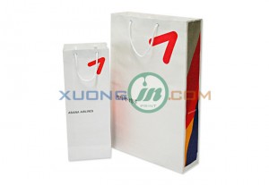 Mẫu túi giấy 2014