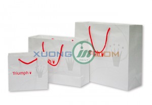 Mẫu túi giấy 2014