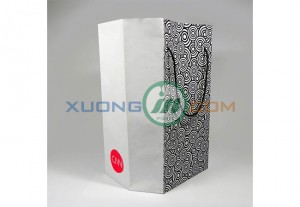 Mẫu túi giấy 2014