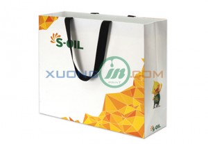 Mẫu túi giấy 2014