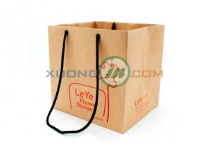 Mẫu túi giấy 2014