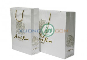 Mẫu túi giấy 2014