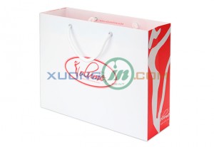 Túi giấy cao cấp