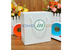 Túi giấy cao cấp