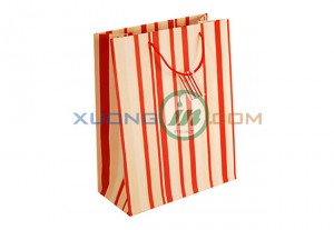 Túi giấy cao cấp thiết kế theo yêu cầu