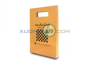 Túi giấy cao cấp thiết kế theo yêu cầu