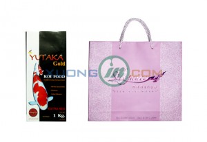túi giấy cao cấp