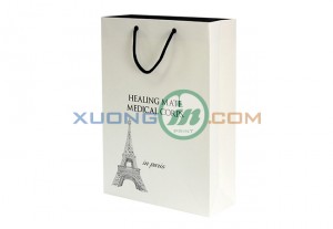 Túi giấy thời trang 2014