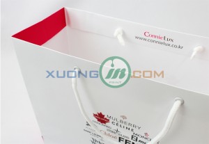 Túi giấy thời trang 2014