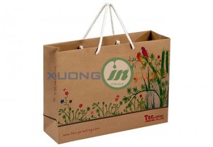 Túi giấy thời trang 2014