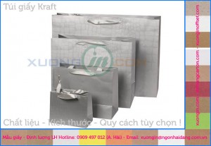 túi giấy xuất nhập khẩu
