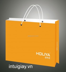 in túi giấy cáng màng bóng chống ướt