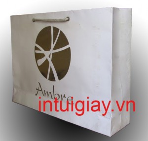 in túi giấy cáng màng bóng chống ướt