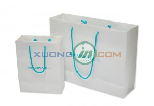 In túi giấy có quai