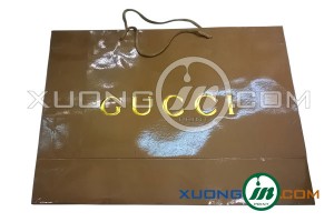 Công ty túi giấy cao cấp