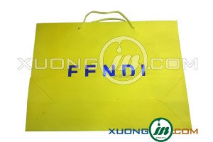Công ty túi giấy cao cấp