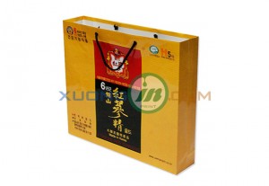 In túi giấy đựng quà tết giá rẻ