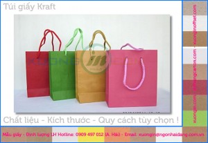 In túi giấy đựng quà tết giá rẻ