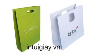 In túi giấy đựng quà tết giá rẻ