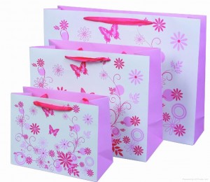 Mẫu túi xách giấy đẹp tại tphcm