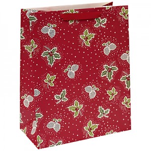 Mẫu túi xách giấy đẹp tại tphcm