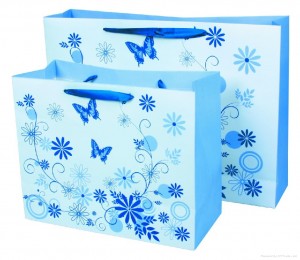 Mẫu túi xách giấy đẹp tại tphcm