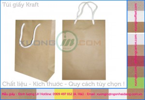 Tư vấn in túi giấy theo yêu cầu