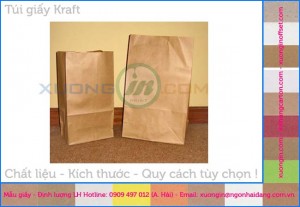 Tư vấn in túi giấy theo yêu cầu