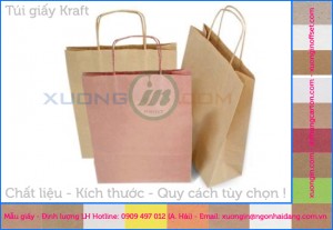 In túi kraft không in bảo vệ môi trường